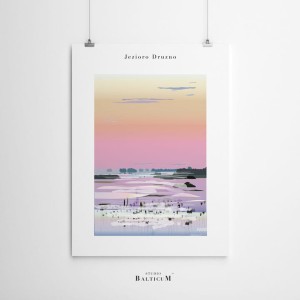 Plakat - Jezioro Druzno (A4)