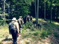 Survival8.jpg