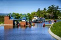 282-Pingwin-Olesnica-Kanal-Elblaski-wiosna-2018.jpg