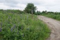 DSC07603.JPG