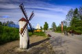 399-Jelenie-Kanal-Elblaski-wiosna-2018.jpg