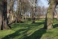 DSC09298.JPG