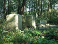 142. Szymbark - Cmentarz rodu Finck von  Finckensteinów.jpg