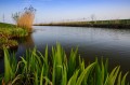 118-Kanal-Elblaski-okolice-Stacji-Pomp72-wiosna-2018.jpg