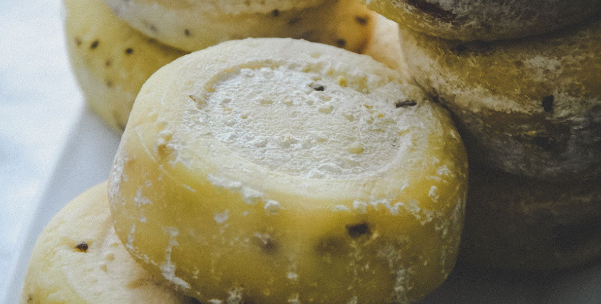 Sery z Warmii i Mazur